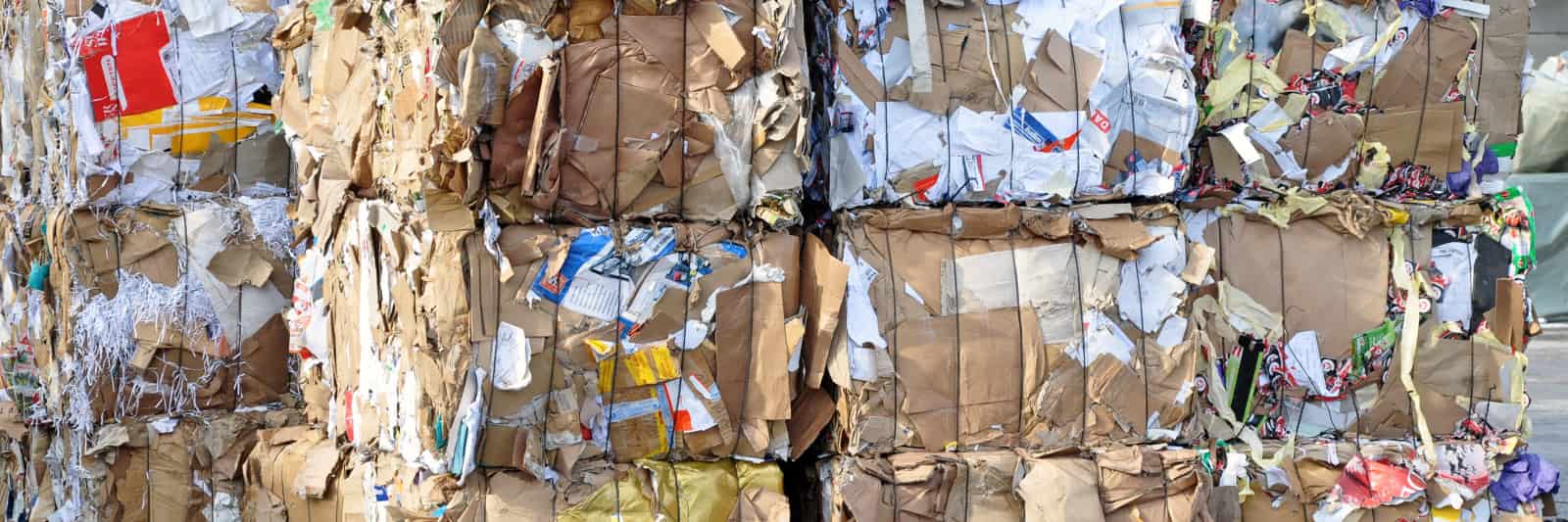 Recycling BP Trucking, Inc.