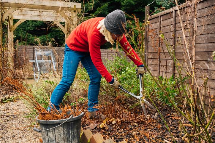 Yard waste is being trimmed and collected during seasonal garden cleanup in the Greater Boston Area.